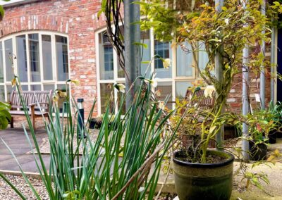 Courtyard with trees and potted plants and lots of seating - ramp leading down to the courtyard area