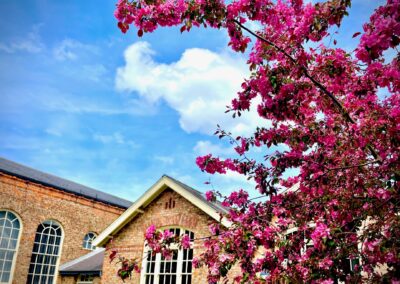 Tree blossom and the front of the Priory Street Centre conference area